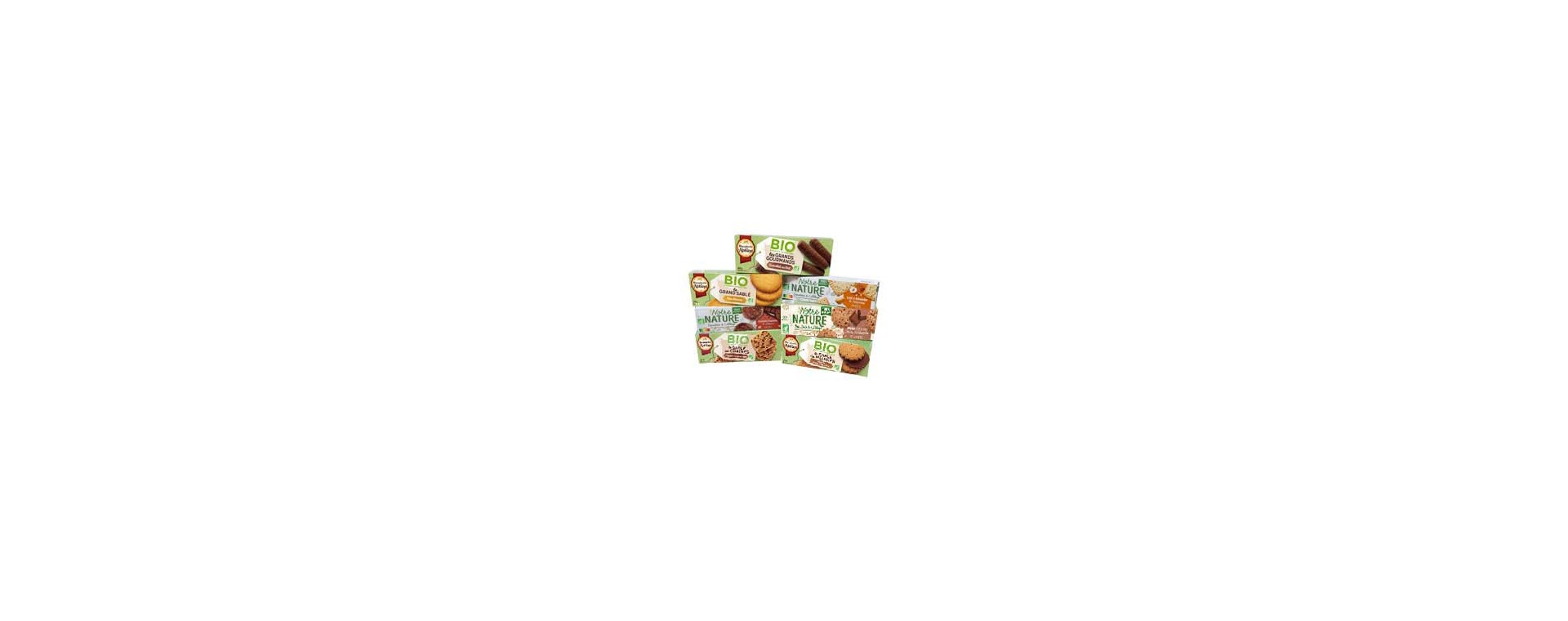 kit bio