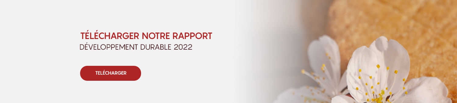 rapport développement durable 2022