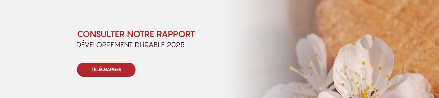 rapport developpement durable